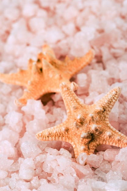 Dwie rozgwiazdy w soli morskiej