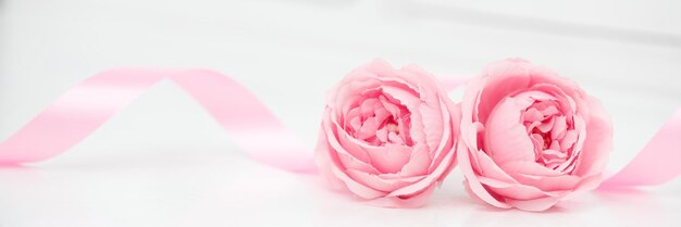 Zdjęcie dwie różowe róże i wstążki na białym tle walentynki