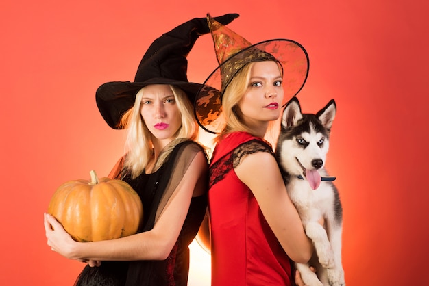 Dwie Szczęśliwe Młode Kobiety W Czarnych I Czerwonych Sukienkach, Kostiumy Czarownic Halloween Na Imprezie Nad Pomarańczową ścianą. Dwie Piękne Blondynki W Strojach Karnawałowych. świąteczny Projekt Halloween.