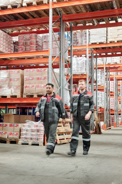 Dwóch młodych międzykulturowych pracowników płci męskiej w mundurach poruszających się po dużej fabryce lub magazynie z ogromnymi półkami z zapakowanymi towarami