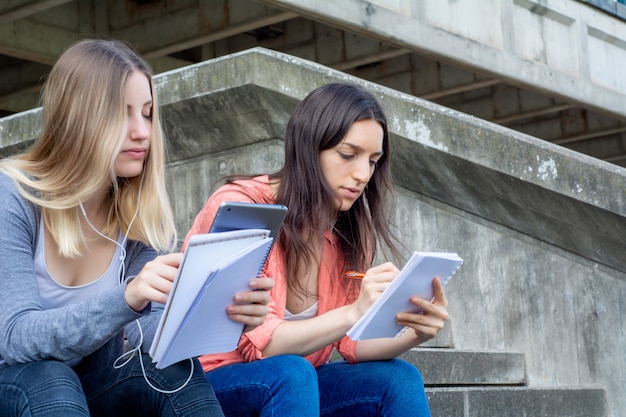 Dwóch Studentów Studiujących Razem Na Zewnątrz