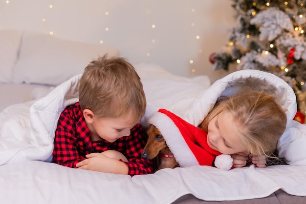 dwoje dzieci chłopiec i dziewczynka leżą w łóżku ze swoim ukochanym zwierzakiem na święta