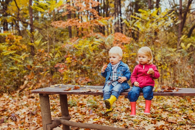 Dwoje maluchów, chłopiec i dziewczynka, siedzą i jedzą na ławce w parku jesienią