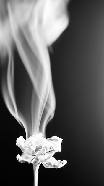 Zdjęcie dym z kwiatka w czerni i bieli