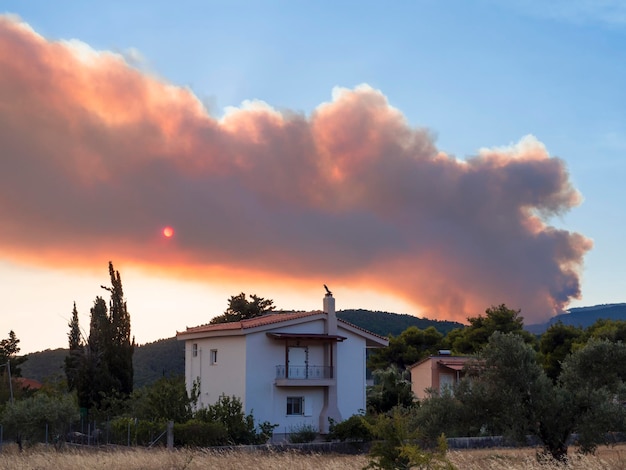 Dym z letnich pożarów (podpalenie) zasłania słońce na greckiej wyspie Evia, Grecja