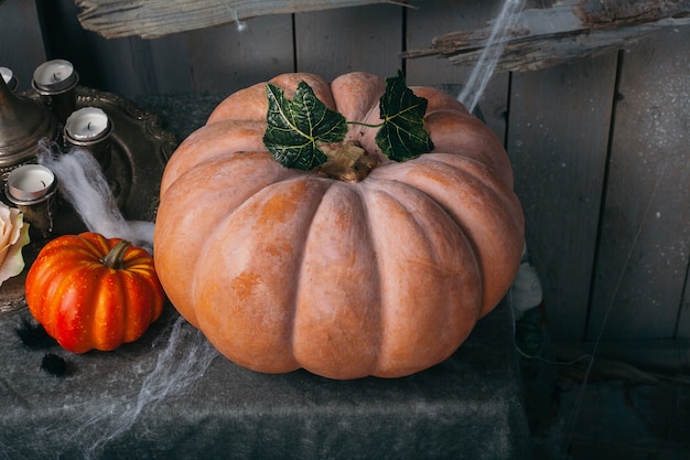 Dynia Halloween Ze świecami I Pajęczynami