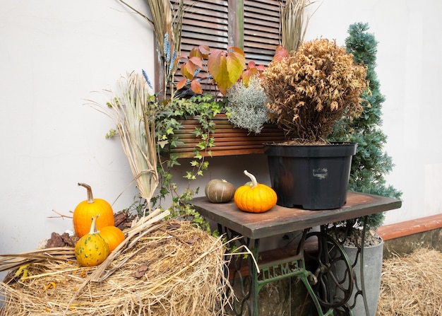 Zdjęcie dynie i jesienne liście symbol jesiennych zbiorów święto dziękczynienia mabon sabat i święto halloween ...