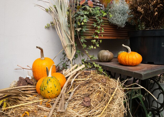 Zdjęcie dynie i jesienne liście symbol jesiennych zbiorów święto dziękczynienia mabon sabat i święto halloween ...