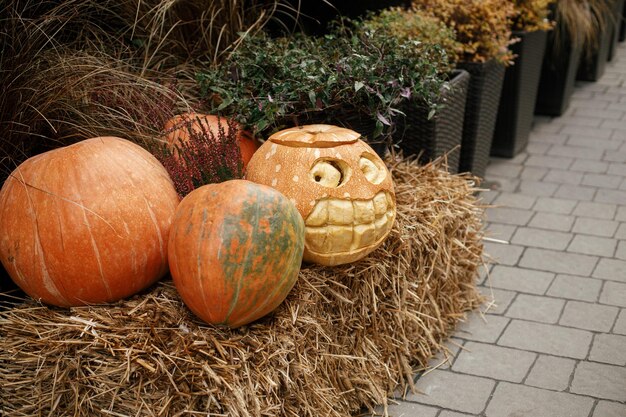 Dynie i latarnia z dyni wyrzeźbiona straszna dynia na stosie siana świąteczny wystrój ulicy Wesołego halloween