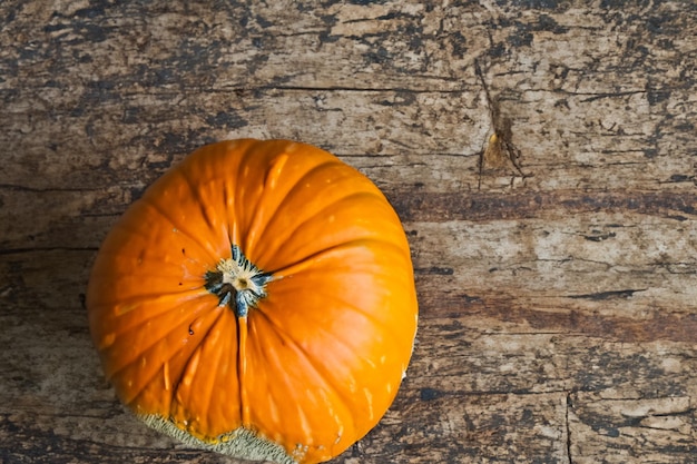 Dynie z pięknymi wzorami i naturalnymi motywami można wykorzystać na Halloween, są naprawdę urocze