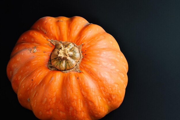 Dynie z pięknymi wzorami i naturalnymi motywami można wykorzystać na Halloween, są naprawdę urocze