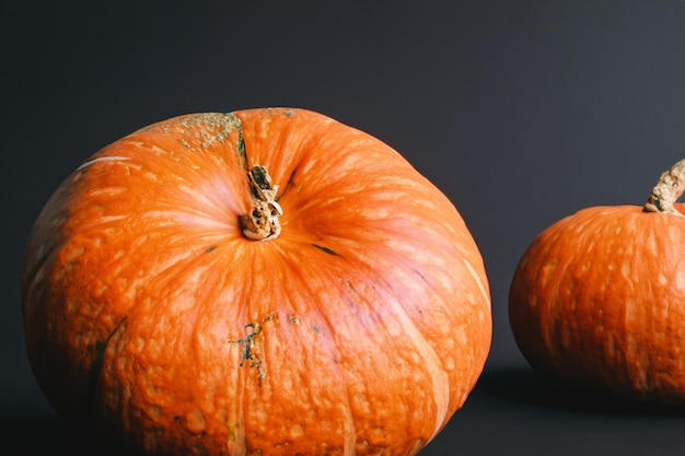 Dynie z pięknymi wzorami i naturalnymi motywami można wykorzystać na Halloween, są naprawdę urocze