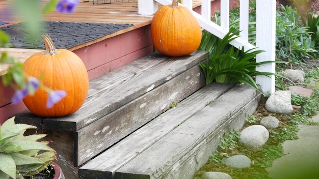 Dyniowy wystrój halloween przed drzwiami na podwórku jack o latarnia na schodach