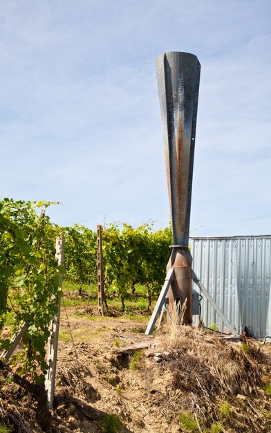 Działo Gradowe We Włoskiej Winnicy, Okolice Monferrato I Langhe, Region Piemonte.