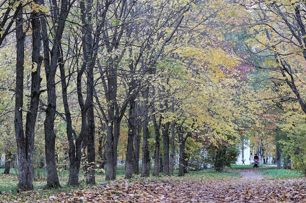 Dzieci bawią się na placu zabaw