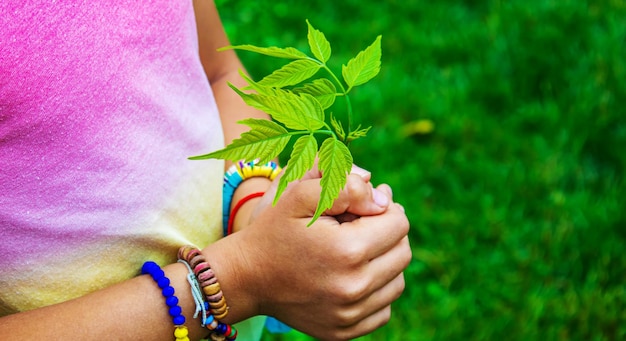 Dzieci dbają o drzewo natury w swoich rękach Selektywne skupienie