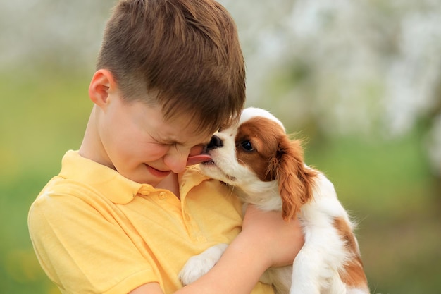 Dzieci i zwierzęta domowe gry na świeżym powietrzu z psami dziecko chłopiec 10 lat spaceruje z psem cavalier king charles spaniel