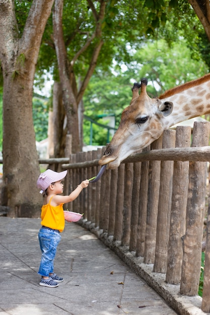 Dzieci karmią żyrafy w zoo.