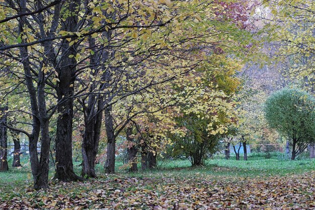 Dzieci na ulicy bawią się na placu zabaw