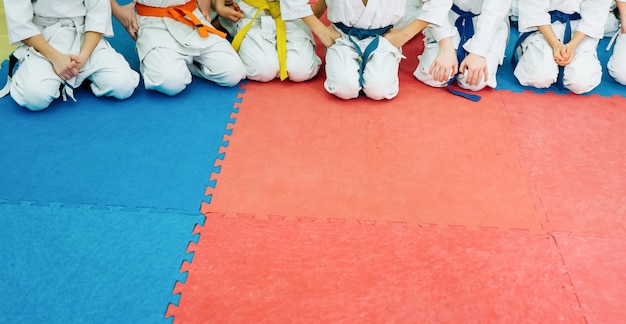 Dzieci trenujące na karate-do.