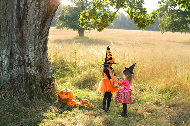 Dzieci w strojach karnawałowych w dzień Halloween bawią się dyniami na polu pod dużym drzewem