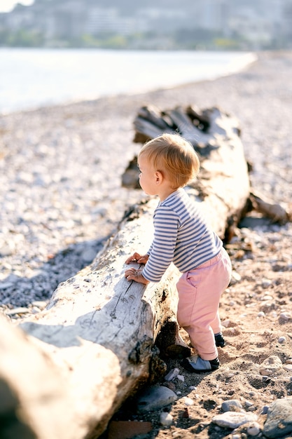 Dzieciak stoi w pobliżu wyrzuconego przez morze drewna na plaży i patrzy na morze?