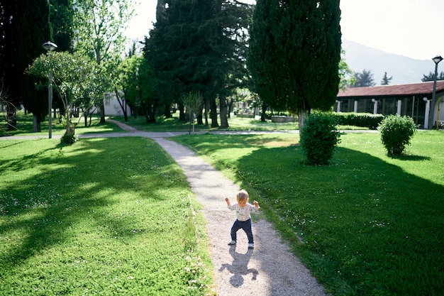 Dzieciak stoi z rękami w górze na ścieżce w parku wśród drzew