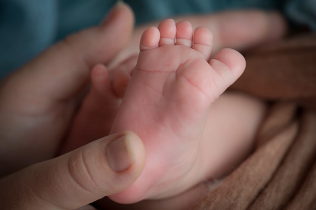 Dziecięce stopy trzymają się w rękach matki i ojca. Matka, ojciec i dziecko. Szczęśliwa rodzina koncepcja ludzie. Zdjęcie wysokiej jakości