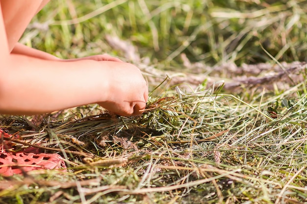 Dziecko czyni rzemiosło z trawy na zewnątrz.