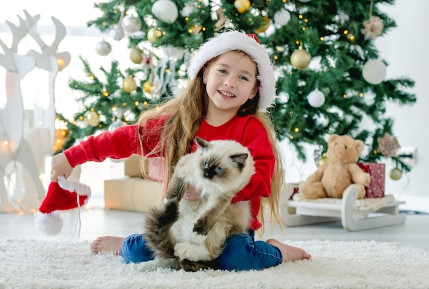 Dziecko dziewczynka z kotem ragdoll siedzi na podłodze w kapeluszu Świętego Mikołaja w czasie świąt Bożego Narodzenia i uśmiecha się. Ładne dziecko trzyma kota kota w pobliżu świątecznej choinki w noworocznym udekorowanym pokoju