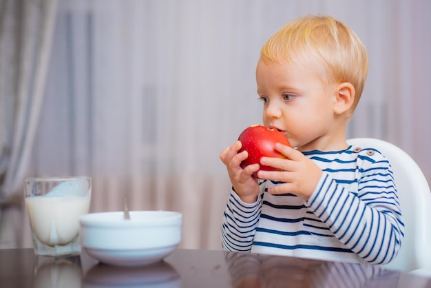 Dziecko jeść jabłko Dziecko ładny chłopiec siedzieć przy stole z talerzem i jedzeniem Zdrowe jedzenie Chłopiec słodkie dziecko je śniadanie Odżywianie dla niemowląt Jeść zdrowo Maluch mający przekąskę Zdrowe odżywianie Pojęcie witaminy