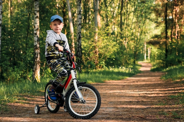 Dziecko Na Rowerze W Lesie Wczesnym Rankiem. Chłopiec Na Rowerze Na świeżym Powietrzu W Kasku