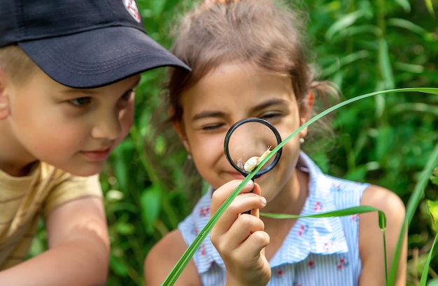 Dziecko patrzy na ślimaka przez szkło powiększające. Selektywne skupienie. Natura.