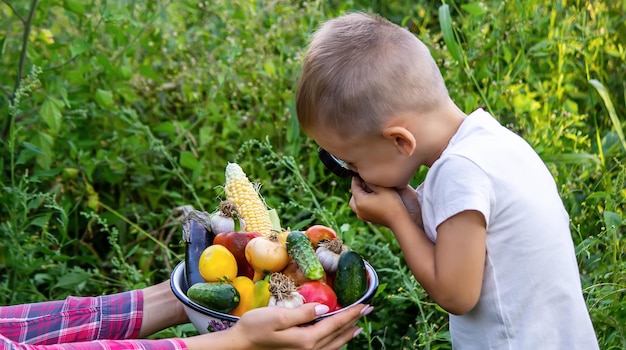 Dziecko patrzy na świeże warzywa w misce przez szkło powiększające Natura