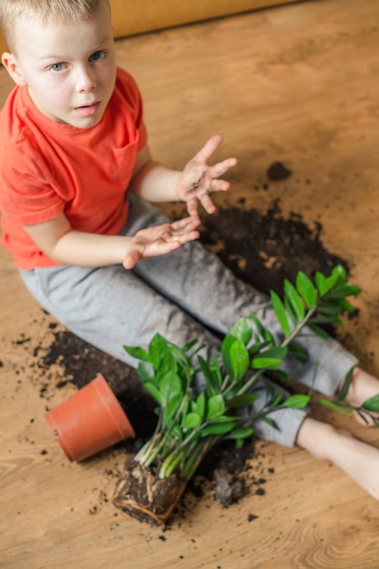 Dziecko Pokazujące Brudną Ziemię Ręce Siedzące Na Podłodze Z Rozbitą Doniczką Z Doniczki