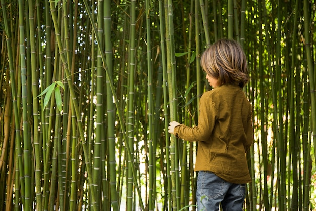Dziecko Spacerujące Po Bambusowym Lesie?