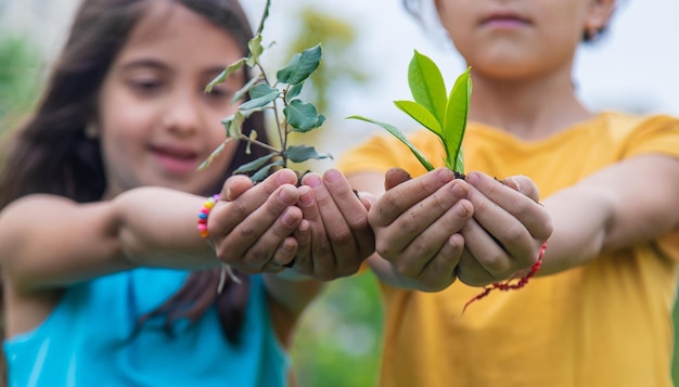 Dziecko trzyma w rękach roślinę i glebę Selektywne skupienie