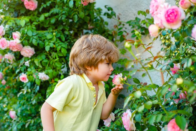 Dziecko w ogrodzie różanym wącha kwiat kwiat wiosna i lato chłopiec dziecko