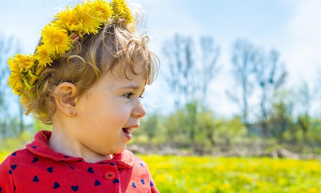 Dziecko w polu żółte dandelions Selektywne fokus