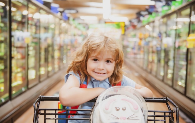 Dziecko Z Wózkiem Na Zakupy W Sklepie Spożywczym Lub Supermarkecie