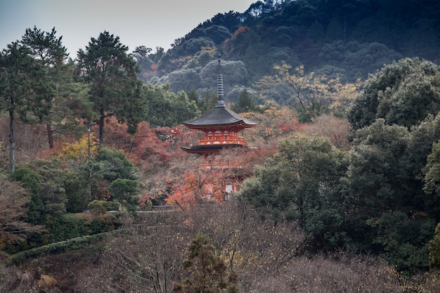 Dziejowa Japońska Pagoda W Drewnie