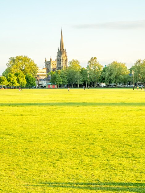 Dzieło Parkera w Cambridge