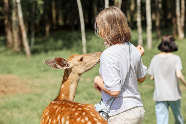 Dziewczęta karmiące słodkie bambi jelenia cętkowanego w kontaktowym zoo. Happy traveller girls lubi spędzać czas z dzikimi zwierzętami w parku narodowym w lecie.