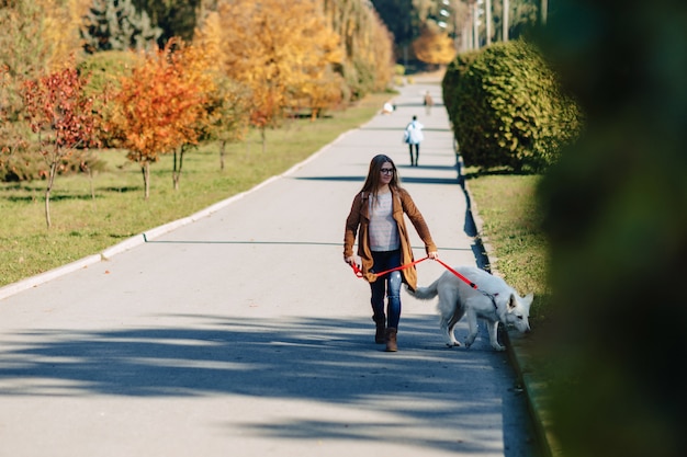 Dziewczyna Chodzi Przy Jesień Parkiem Z Młodym Białym Szwajcarskim Pasterskim Psem