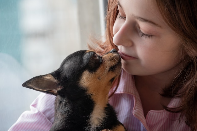 Dziewczyna i pies. Dziewczyna ze swoim zwierzakiem w ramionach. Chihuahua w kolorze czarno brązowo-białym.