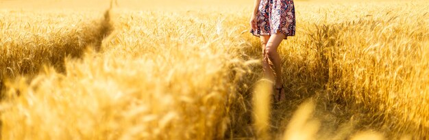 Dziewczyna idąca przez złote pole i dotykająca ręką pszenicy