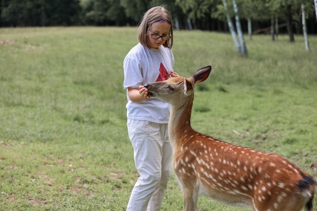 Zdjęcie dziewczyna karmiąca uroczego plamistego jelenia bambi w zoologicznym ogrodzie dziecięcym jelenia bawiącego się z ludźmi