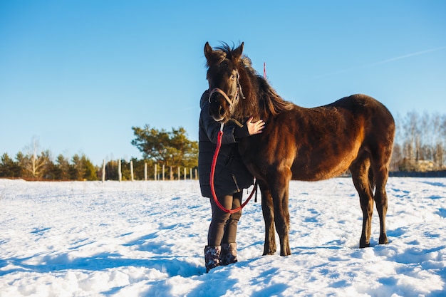 Dziewczyna obejmuje arabskiego czarnego konia. Zima śnieżny pole na słonecznym dniu