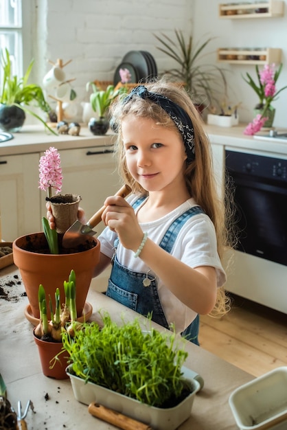 Dziewczyna Przesadza Kwiaty I Rośliny Doniczkowe Dziecko W Chustce Sadzi Cebulki Hiacynty Microgreens