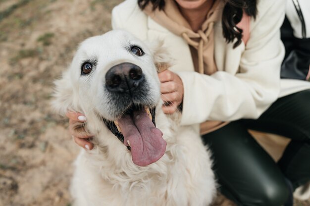 Dziewczyna Przytulanie Psa Golden Retriever W Polu